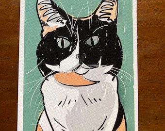 Calico Cat