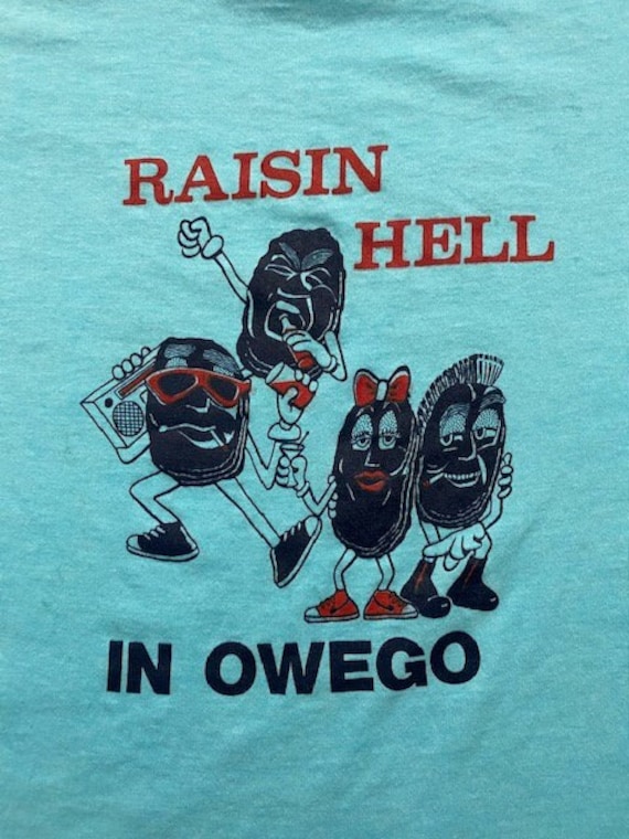 Vintage Single Stitch Raisin Hell in Owego Medium