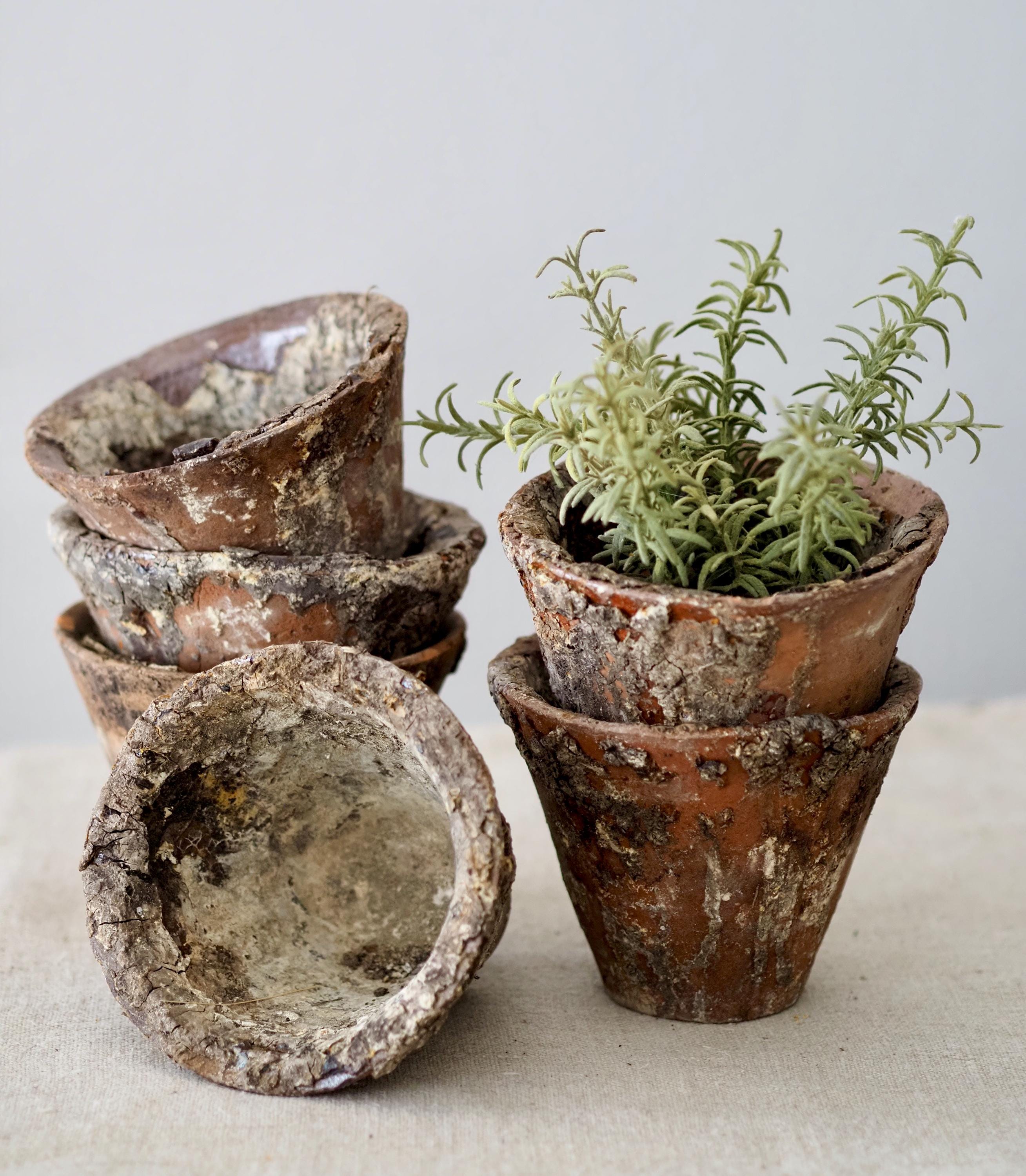 Antique French Terra Cotta Pot - Etsy