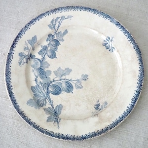 May include: A round ceramic plate with an off-white base and a fine blue crackle glaze finish. The rim features a dense blue stippled border. A blue botanical illustration of gooseberry branches with leaves and fruit decorates the surface.
