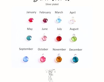 Add On  BIRTHSTONES - Round Silver Plated Frame Crystal Birthstone 6 mm, Choose your Color, Choose your Month