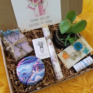 Teacher appreciation gift box, send a care package, live succulent, relaxation spa set, natural products, Thanks for helping me grow.