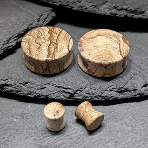 Picture Jasper Stone Plugs: Natural Double Flare Gauges (Pair)