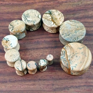 Puede incluir: Un conjunto de 10 medidores de oreja de piedra marrón y beige de diferentes tamaños. Los medidores están dispuestos en círculo sobre una superficie de madera.