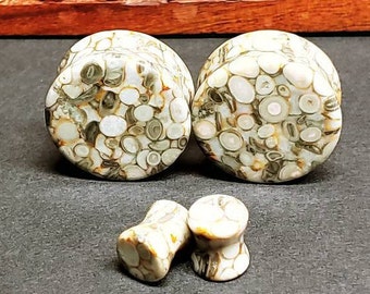 Lily Fossil Stone Plugs: Natural Double Flare Gauges (Pair)