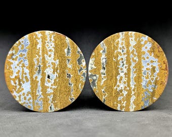 50mm ( 2 inch) Orbicular Jasper plugs for stretched ears by Austin Plug & Tunnel Co.