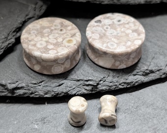 Lily Fossil Stone Plugs: Natural Double Flare Gauges (Pair)