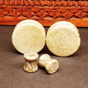 Stone Plugs Gauges - Fossilized Coral Stone Plugs - Double Flare Body Jewelry for Stretched Ears - Natural Organic (Pair)