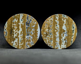 38mm ( 1.5 inch) Orbicular Jasper plugs for stretched ears by Austin Plug & Tunnel Co.