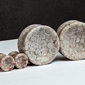 Concave Stone Plugs Gauges - Lily Fossil Stone Plugs - Double Flare Body Jewelry for Stretched Ears - Natural Organic (Pair)