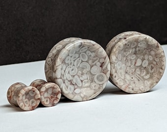 Concave Lily Fossil Stone Plugs