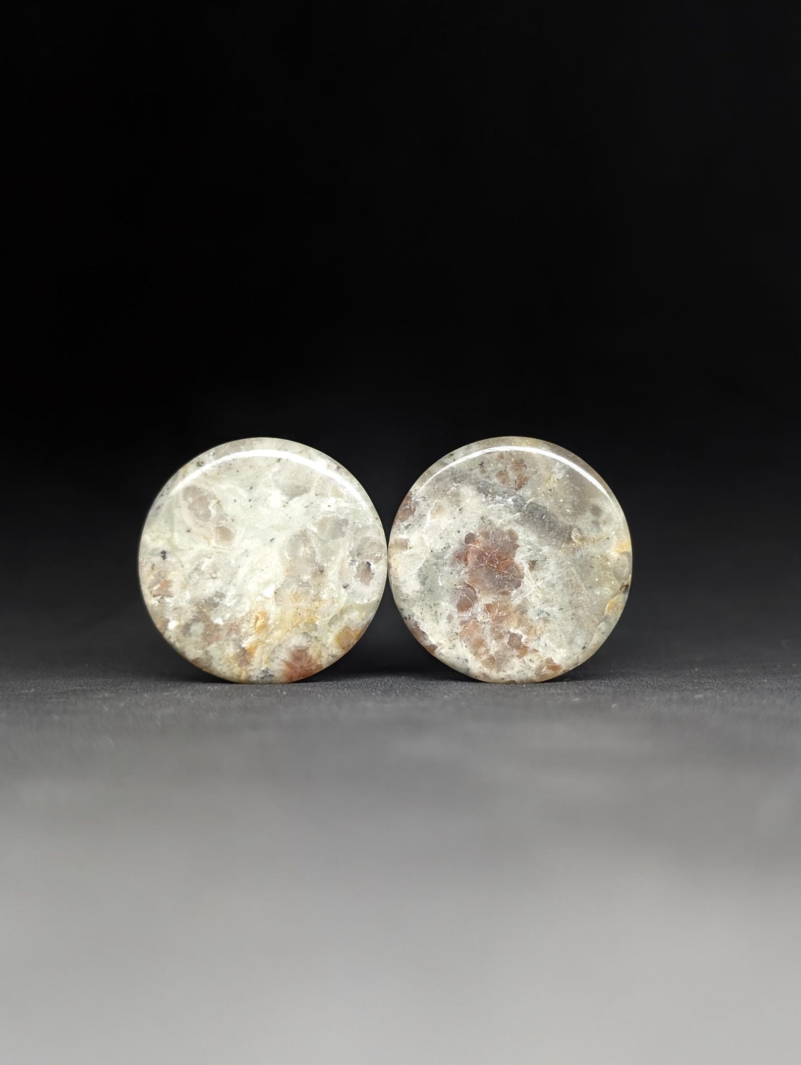 Poop Plugss 19mm ( 3\4 Inch) Coprolite Stone Plugs. Fossilized Dino Poop! Austin ...