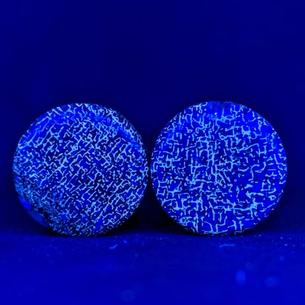 16mm - 5\8" Dinosaur Bone Plugs: Blacklight Sensitive. By Austin Plug and Tunnel Co.
