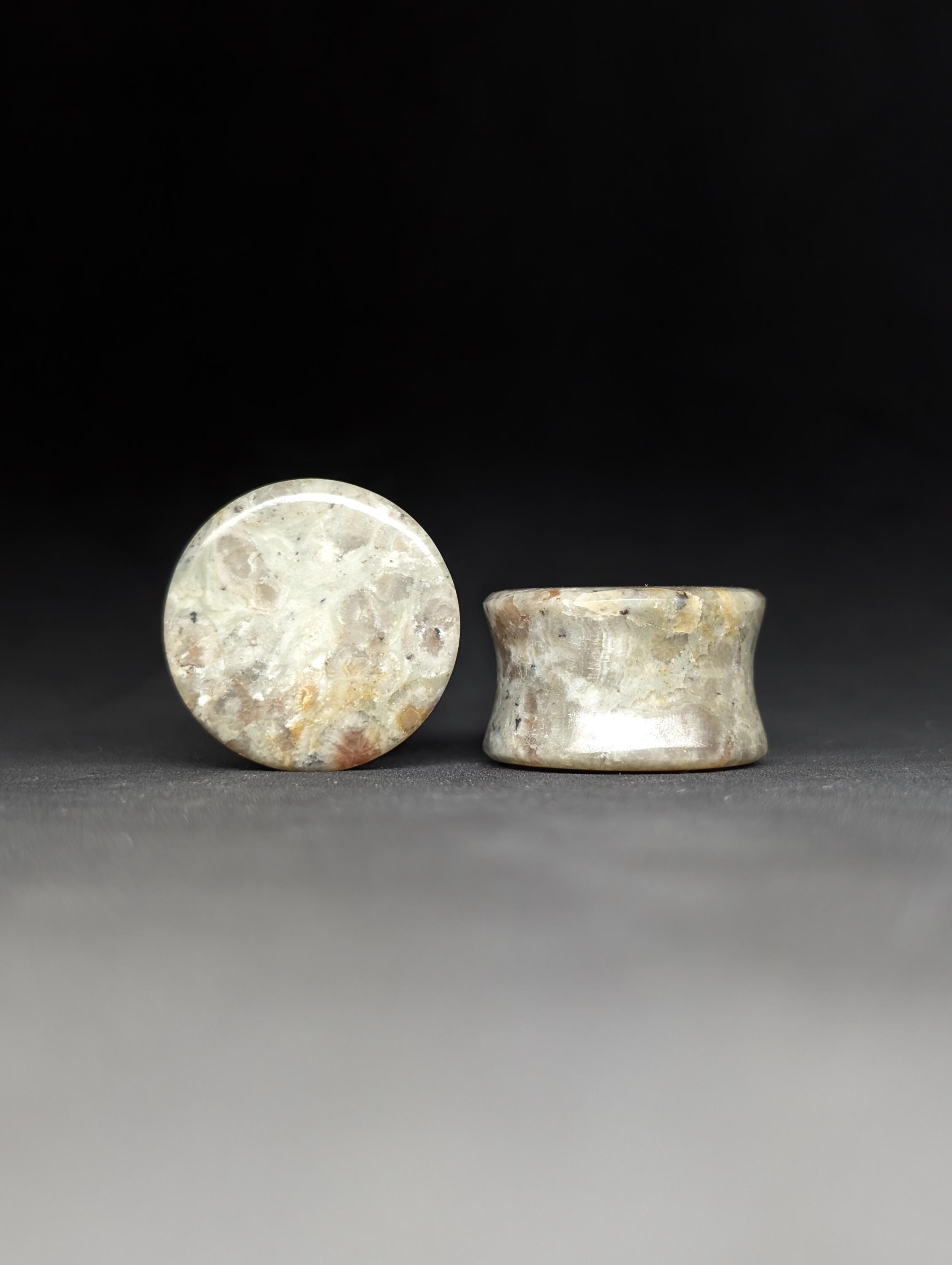 Poop Plugss 19mm ( 3\4 Inch) Coprolite Stone Plugs. Fossilized Dino Poop! Austin ...