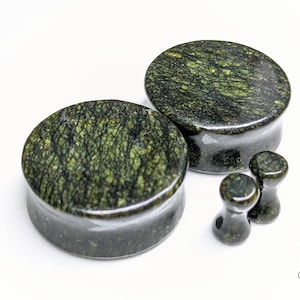 Stone Plugs Gauges - Serpentine Jasper Stone Plugs - Double Flare Body Jewelry for Stretched Ears - Natural Organic (Pair)