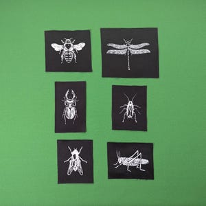Könnte beinhalten: Sechs schwarze Stoffflicken mit weißen Insektenillustrationen. Die Insekten sind eine Biene, eine Libelle, ein Käfer, eine Kakerlake, eine Fliege und eine Heuschrecke. Die Flicken sind auf einem grünen Hintergrund angeordnet.