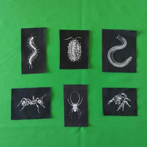 May include: Six black rectangular patches featuring white insect illustrations: a centipede, a woodlouse, a worm, an ant, a spider, and a spider. The patches are displayed on a green background.