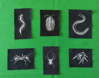 May include: Six black rectangular patches with white insect illustrations, including a centipede, a pill bug, a worm, an ant, a spider, and a spider. The patches are arranged on a green background.