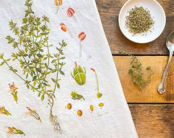 NEW! Thyme Flour Sack Towel