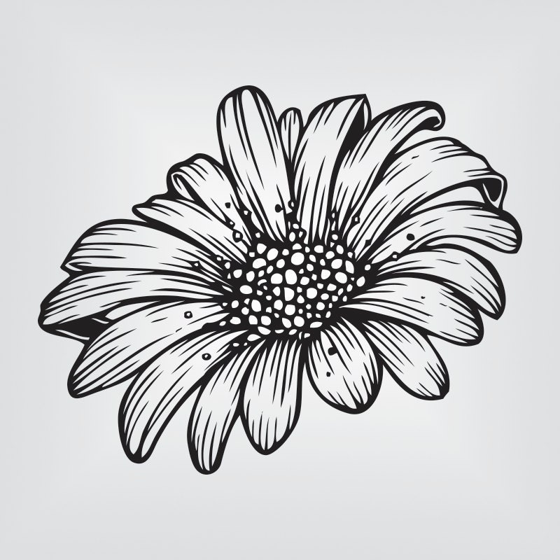 Download Daisy Flower Svg Cricut Silhouette Cameo die cut instant ...