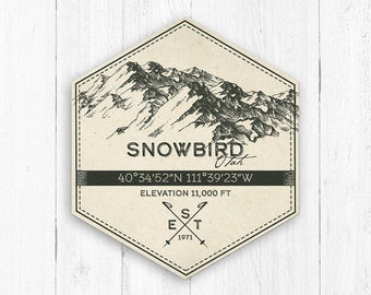 Snowbird Ski Hexagon Canvas Print by Printed Marketplace