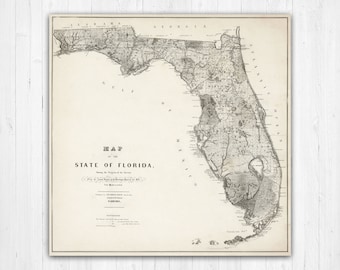 May include: A vintage map of the State of Florida, showing the progress of the surveys for the United States Survey Board for 1855. The map is printed on aged paper with a light brown background and black ink.