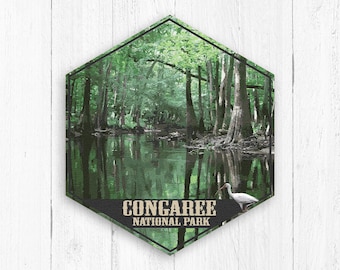 Congaree National Park Hexagon Illustration by Printed Marketplace