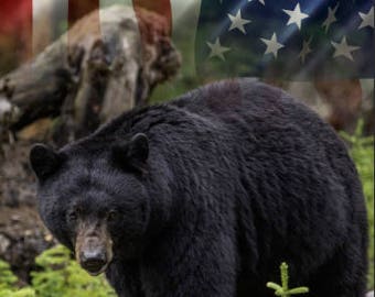 Black Bear Flag Cornhole Wrap Bag Toss Decal  Skin Sticker Wraps Laminated or Non Laminated