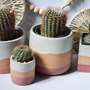 Handgemaakte pot | Betonnen plantenpot | Woestijnpot | Betonnen plantenbak | Kamerplanten | Plantenbak | Boho| Cementpot| Decoratie kamerplant| Natuurlijk