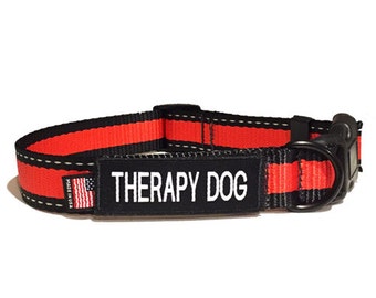 therapy dog lead