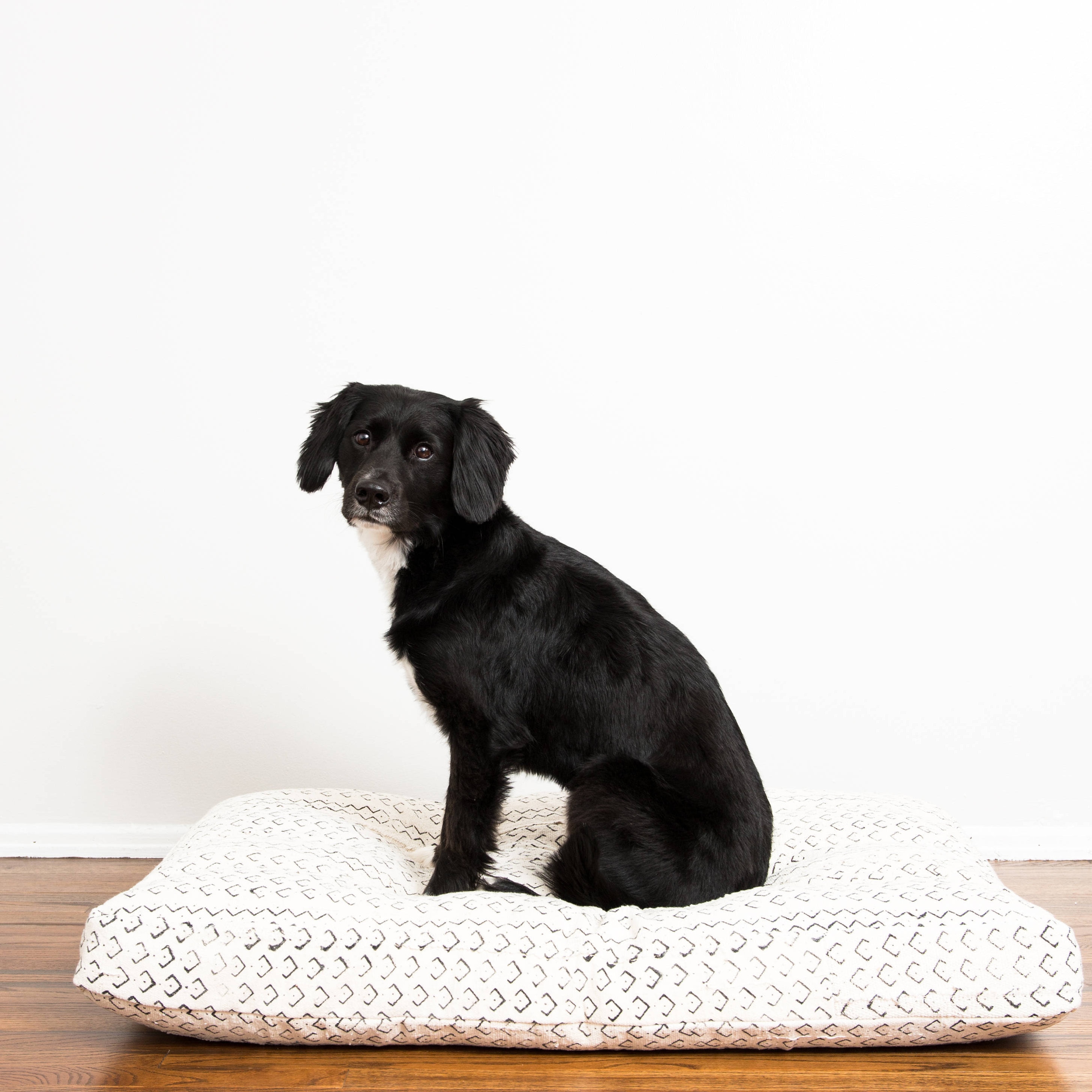 gp dog beds