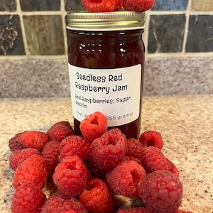 Seedless Red Raspberry Jam - Etsy