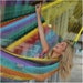 see more listings in the MAYAN HAMMOCKS section