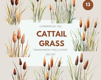 Cattail Grass Clipart, Bulrush Plant Clipart,  Wild Grass, Reeds Clipart, Nature, Cattail, Commercial Use, Transparent PNG