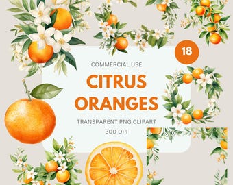 Citrus Oranges Flower Clipart, Watercolor  Oranges Clipart, Orange Branches, Orange Leaf, Wreaths Commercial Use, Transparent PNG