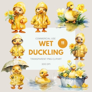 Op de afbeelding: Waterverfillustraties van gele eendjes in regenjassen en met bloemen. Eén eendje staat onder een paraplu. De tekst "WET DUCKLING" staat in het midden van de afbeelding, samen met "TRANSPARENT PNG CLIPART" en "300 DPI".