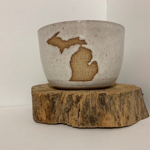 The Michigan Bowl