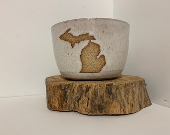 The Michigan Bowl