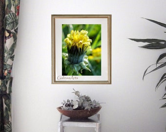 Digital Download Printable Photograph, Nature Photography Prints, Botanical Wall Art, Landscape Dandelion Flower Print Home Decor, Fine Art