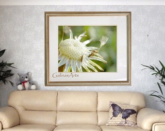 Nature Photography Digital Downloads, Dandelion Flower Printable Photograph, Botanical Wall Art, Home Decor Prints, Fine Art Print Download