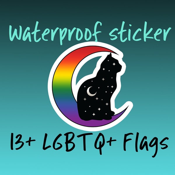 Cat on Moon LGBTQ sticker; Asexual Aromantic Bisexual Demisexual Genderfluid Gender Queer Lesbian Gay Non-Binary Pansexual Transgender