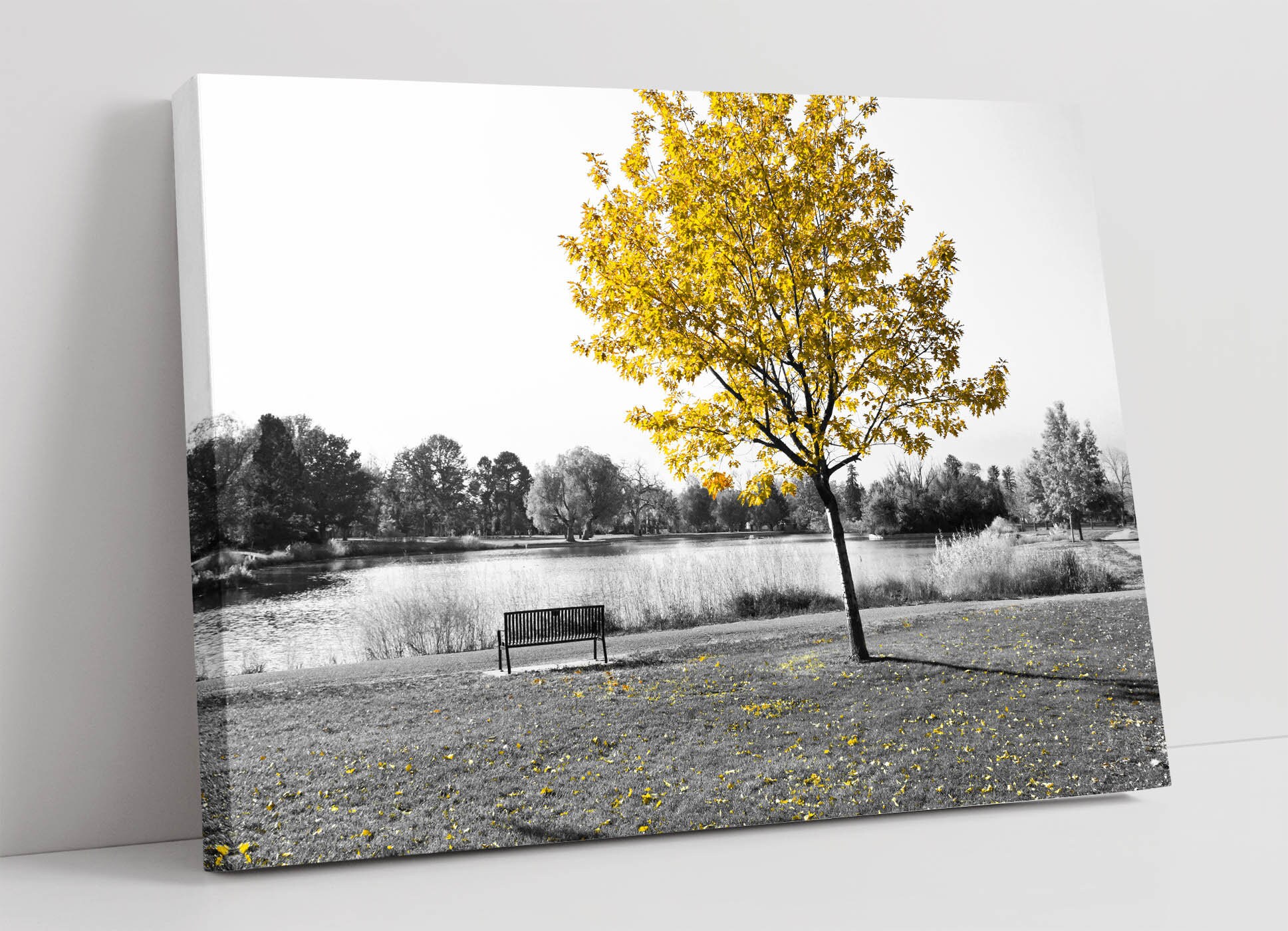 Yellow Tree And Bench Canvas Wall Art Print Artwork 30mm Deep Etsy