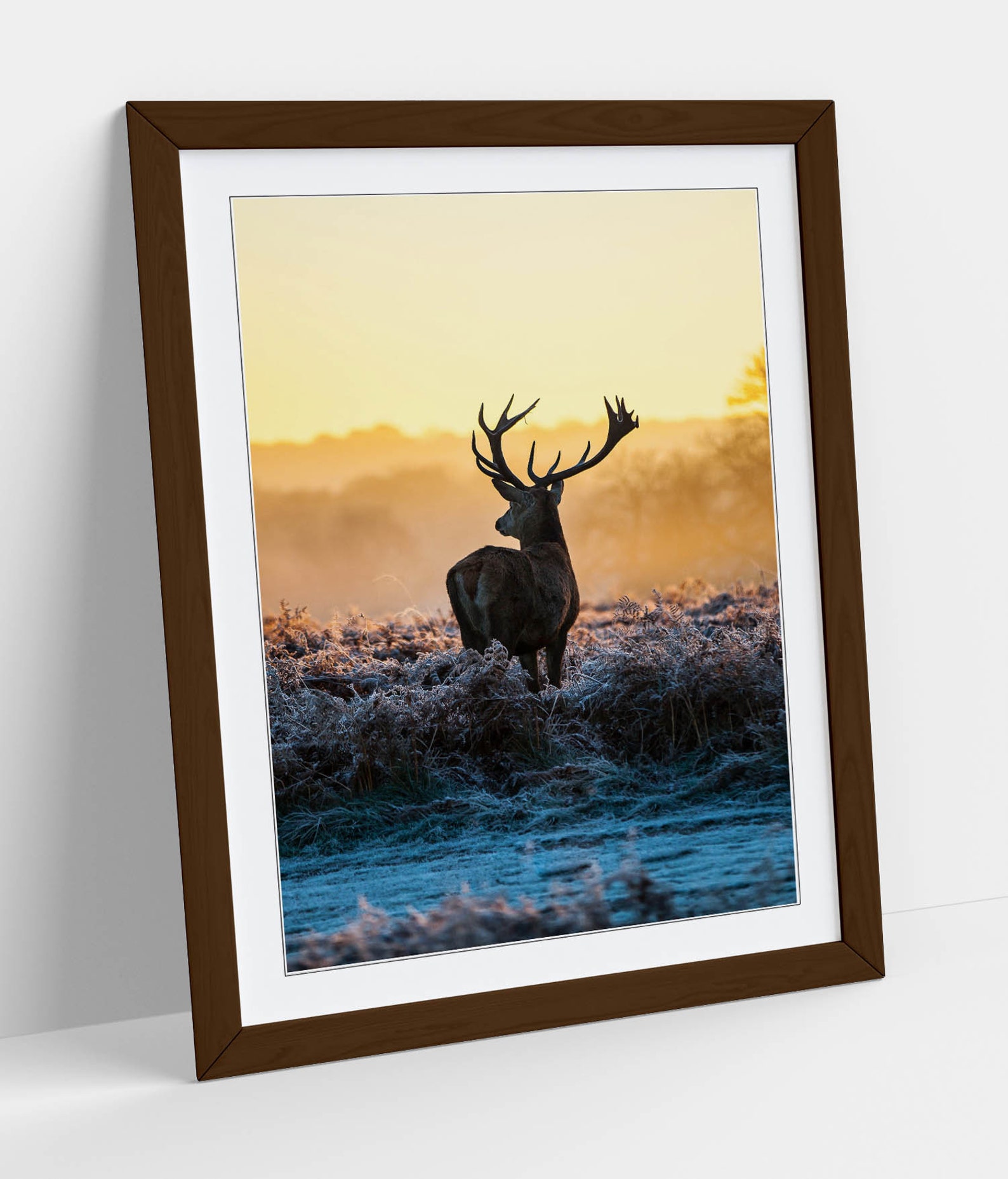 Stag 5 Poster Framed Wall Art Print Picture Home Decor Etsy