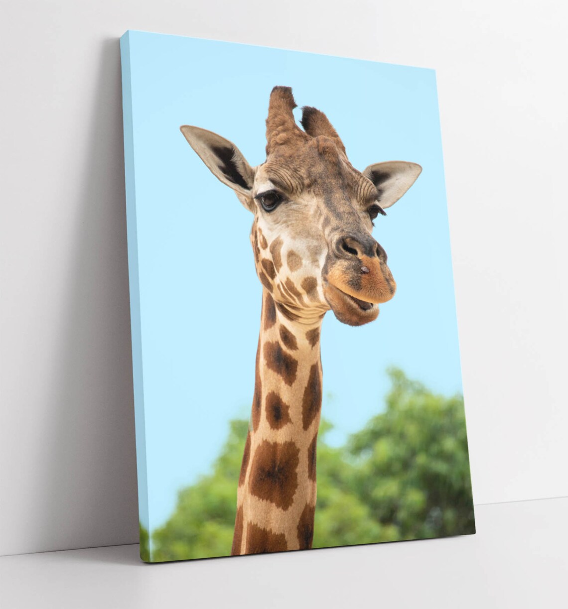Giraffe 3 Canvas Wall Art Print Artwork 30mm Deep Framed Etsy