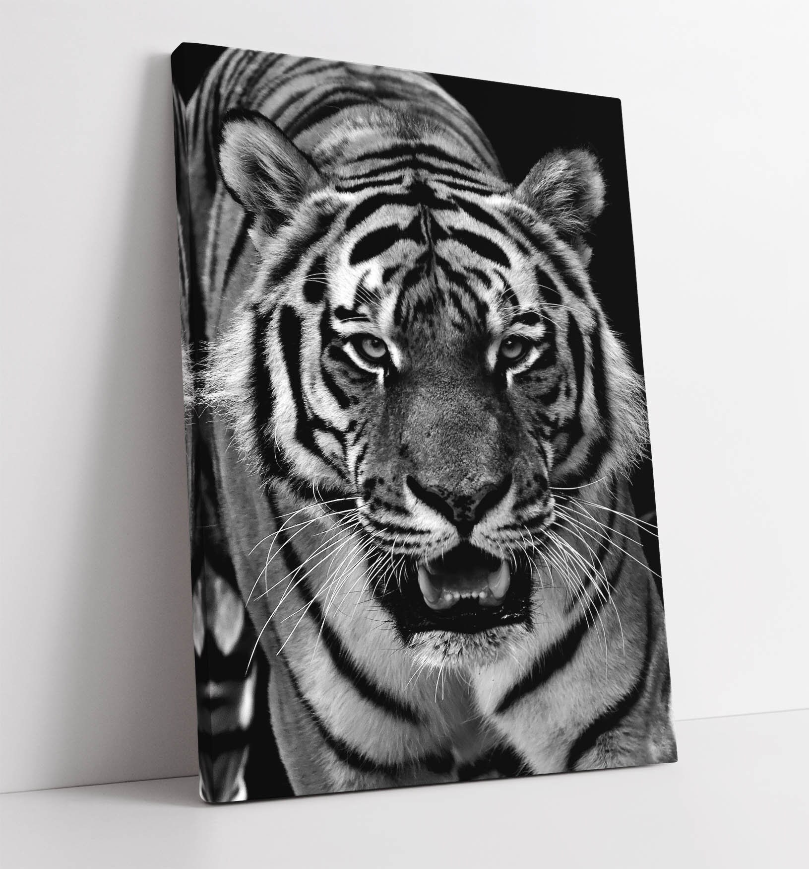 Tiger Head Black And White Canvas Wall Art Print Artwork 30mm Etsy