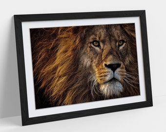 AFRICAN LION 3413 Picture Poster Print Art A0 A1 A2 A3 A4 Animal Poster