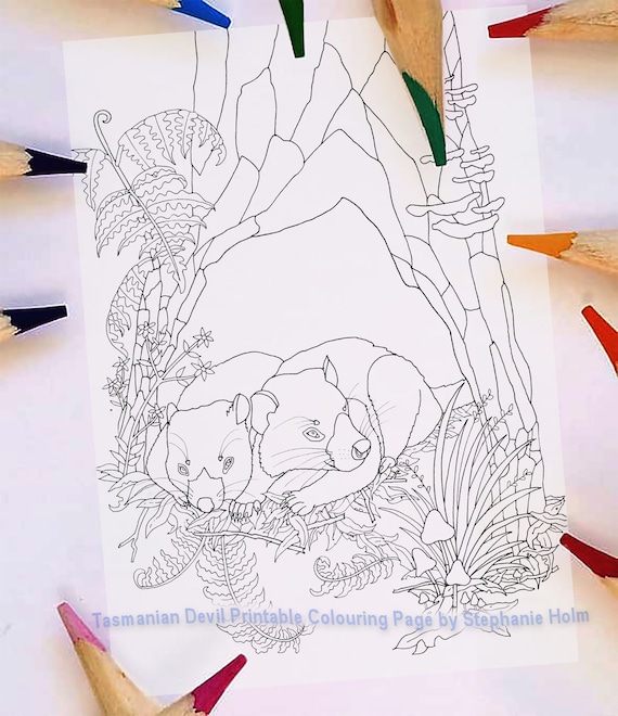 Tasmanian Devil Coloring Page Australian Animal Natural Etsy