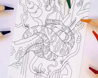 Tapis Python - Serpent dans la Jungle Coloriage Page - Histoire Naturelle Animale Australienne Imprimable Coloriage PDF - Fichier Numérique