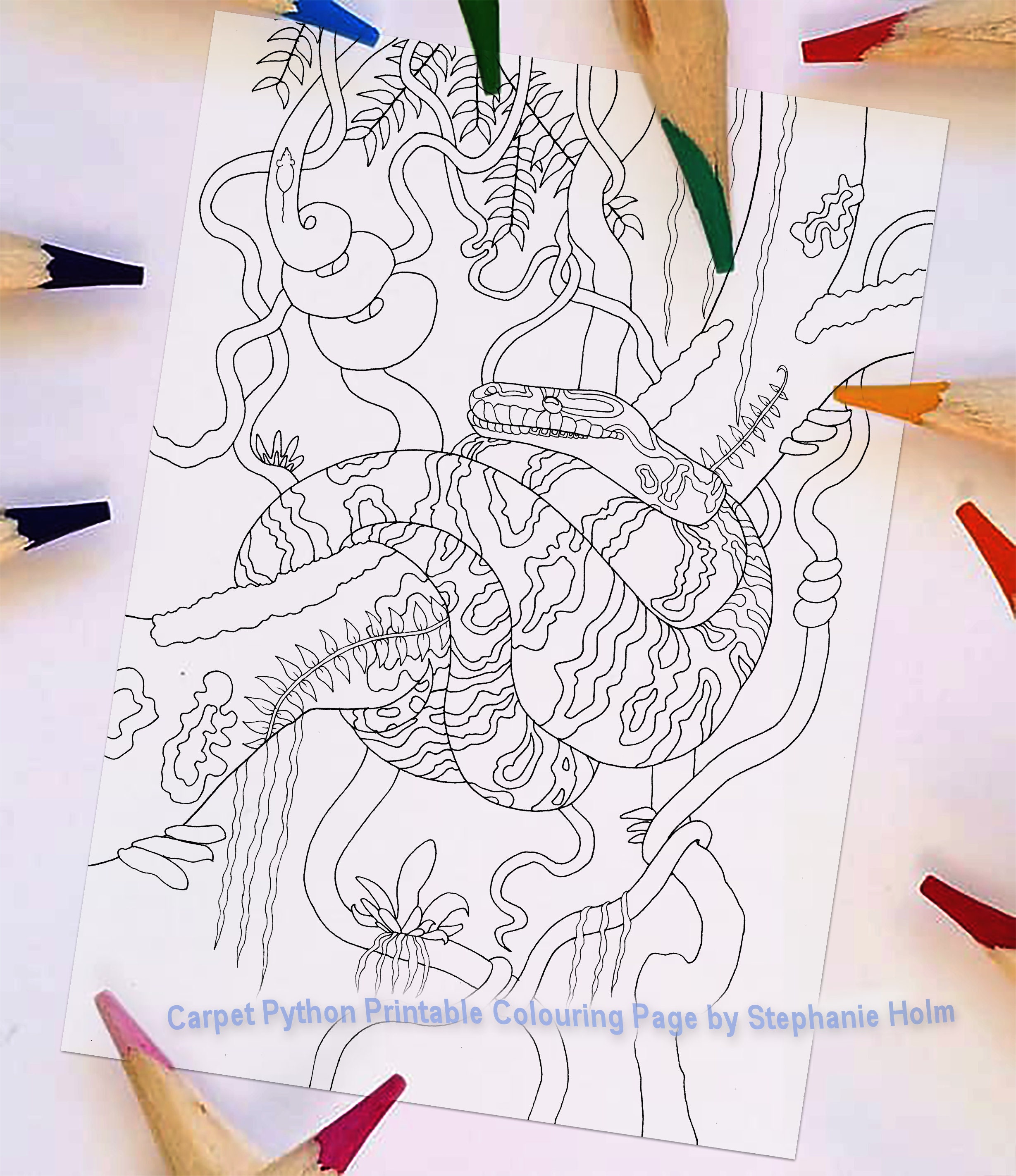 Python Coloring Pages