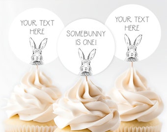 Bunny Party Circles, Editable & Printable Bunny Party Decor, Bunny Cupcake Toppers, Rabbit Party Tags, Bunny Favor Tags PDF INSTANT DOWNLOAD